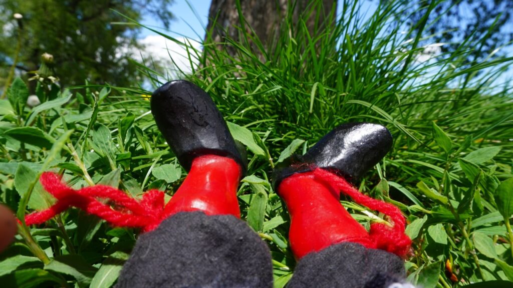 Patuljkove cipelice u travi