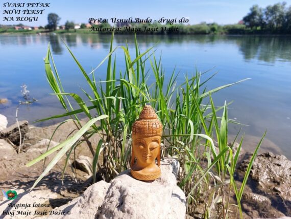 Buda na kamenu uz rijeku i travke