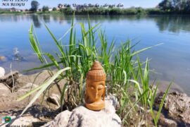 Buda na kamenu uz rijeku i travke